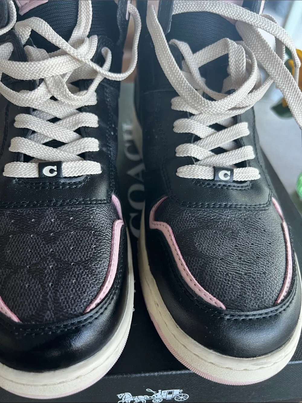 Coach stylish ladies